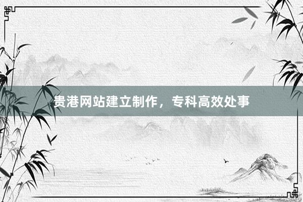 贵港网站建立制作，专科高效处事